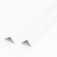 2 x White Rigid Angle 100mm x 100mm x 1  Metre  ^